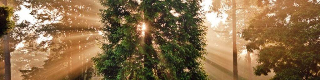 Sabah ilham alabileceğiniz 5 kaynak