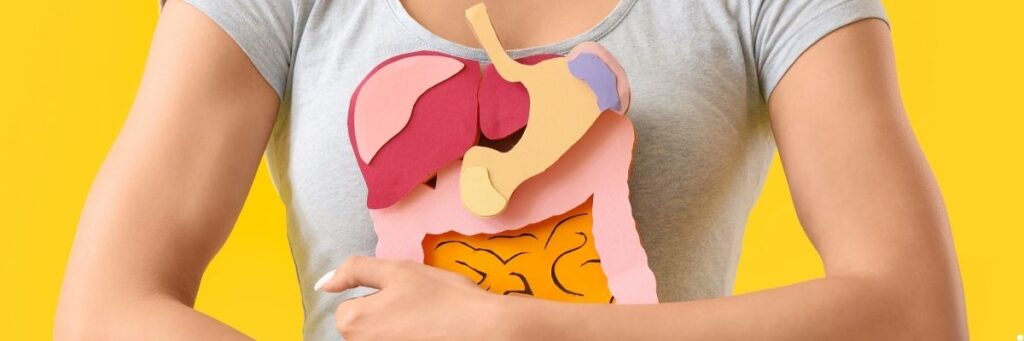 Sabah Sindirim Sistemini Destekleyen Yiyecekler