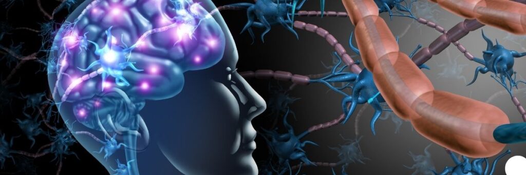 Sabah Beslenmesi ve Beyin